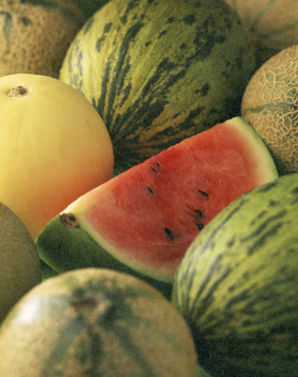 Diferentes tipos de melones y una sandía rebanada juntos.